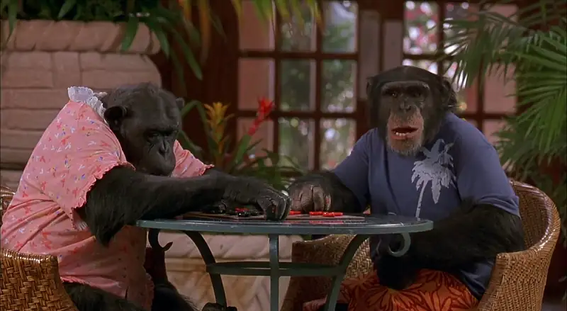 download mxp most xtreme primate (2004) dual audio [hindi + english] web-dl 480p [300mb] | 720p [850mb] | 1080p [1.8gb]