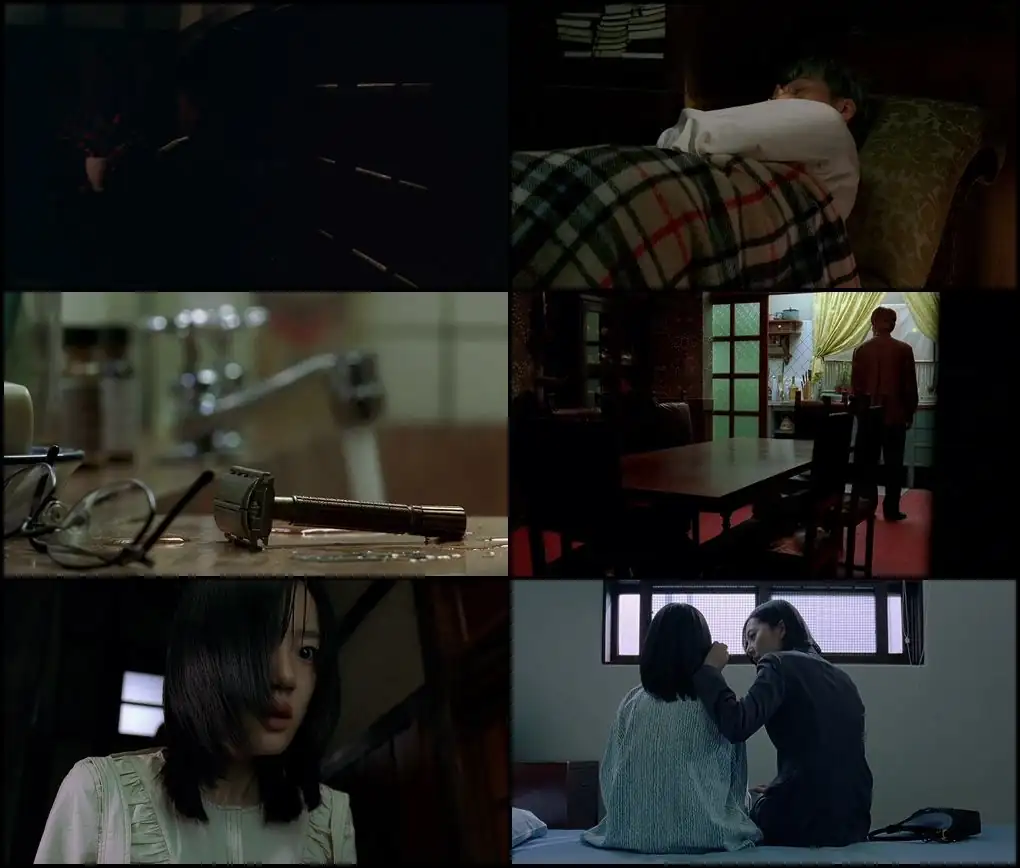 download a tale of two sisters (2003) bluray dual audio {hindi-korean} 480p [410mb] | 720p [980mb] | 1080p [3.4gb]