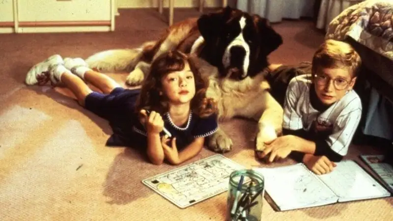 download beethoven's 2nd (1993) bluray dual audio {hindi-english} 480p [220mb] | 720p [940mb] | 1080p [1.8gb]