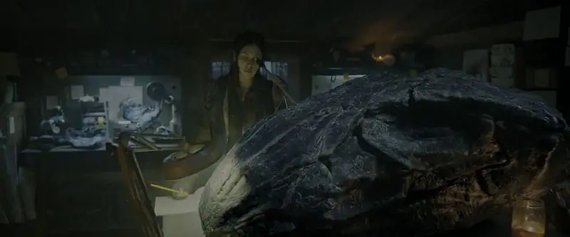 screenshot 8de7d5 elevation 2024