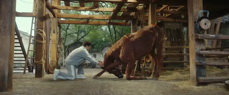 download ride on (2023) bluray dual audio [hindi dubbed (org) - chinese] 480p [500mb] | 720p [1.2gb] | 1080p [2.5gb]