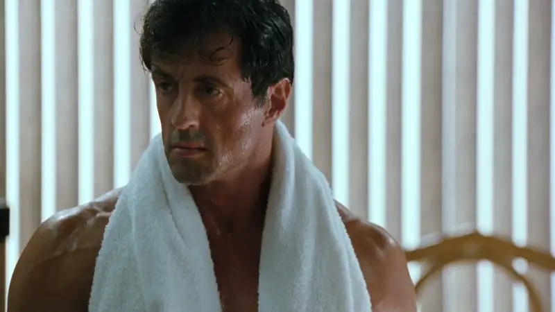 download the specialist (1994) dual audio {hindi-english} 480p [400mb] | 720p [850mb] | 1080p [2gb]