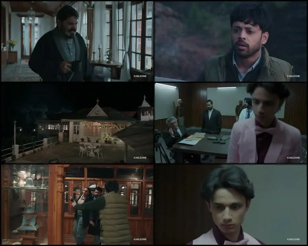 screenshot 93a91e haan main pagal haan 2025