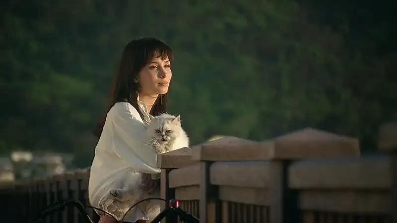 download legendary assassin (2008) bluray dual audio {hindi-english} 480p [300mb] | 720p [1gb]