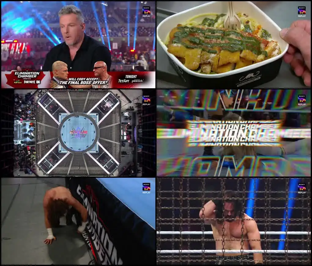 download wwe elimination chamber (2025) dual audio [hindi org. + english] sony web-dl special show 480p | 720p | 1080p