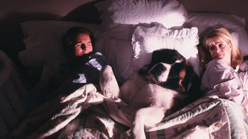 download beethoven (1992) bluray dual audio {hindi-english} 480p [320mb] | 720p [920mb] | 1080p [2gb]