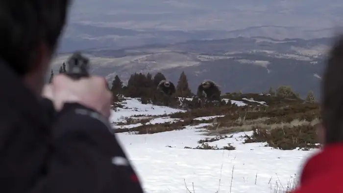 download deadly descent (2013) dual audio {hindi-english} 480p [300mb] | 720p [1gb]