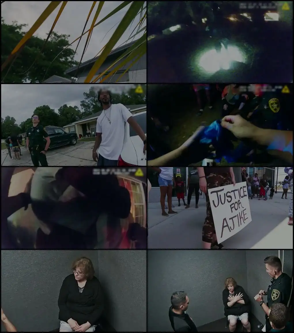 screenshot 9b91a4 the perfect neighbor 2025