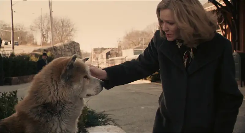 download hachi: a dog's tale (2009) bluray {english with subtitles} full movie 480p [300mb] | 720p [900mb] | 1080p [2.6gb]