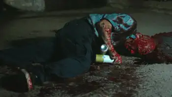 download the curse of valburga (2019) bluray hindi dubbed full movie 480p [300mb] | 720p [850mb]