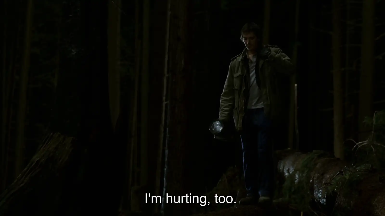 download while she was out (2008) dual audio [hindi + english] web-dl 480p [330mb] | 720p [770mb] | 1080p [1.7gb]