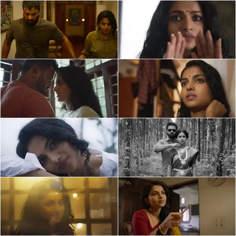 screenshot a30384 hero 2021