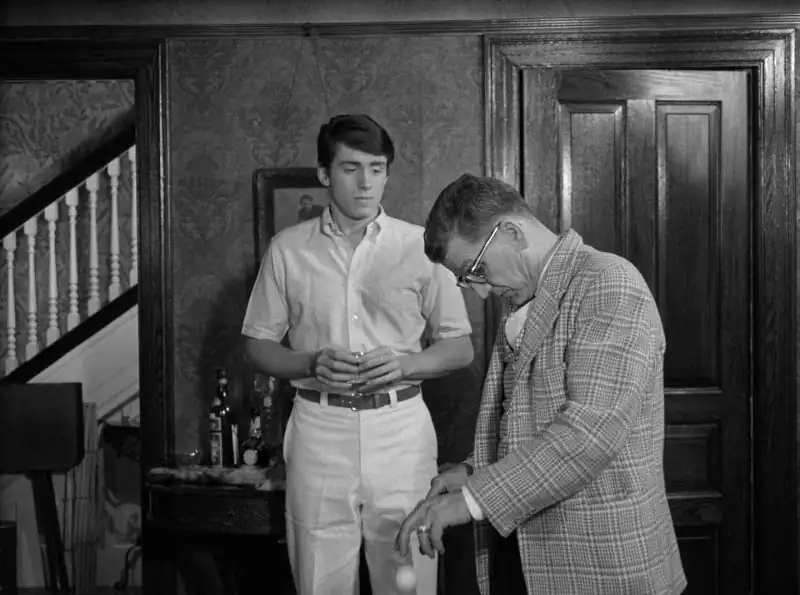 download the wedding party (1969) dual audio [hindi + english] bluray 480p [350mb] | 720p [850mb] | 1080p [2gb]