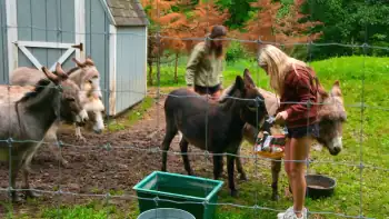 download buy my house (season 1) dual audio [hindi + english] complete netflix web series 480p | 720p web-dl