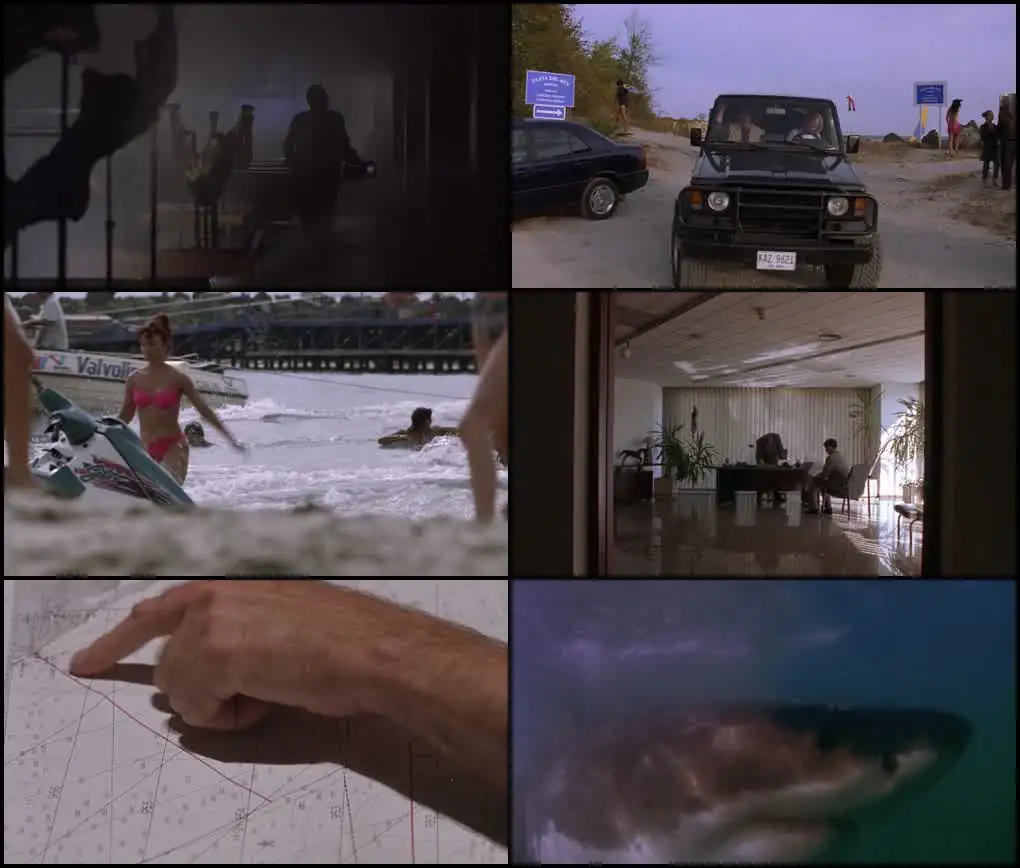 download shark attack 3: megalodon (2002) web-dl dual audio {hindi-english} 480p [300mb] | 720p [850mb] | 1080p [2gb]