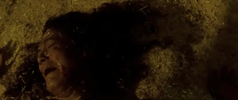 screenshot aaab13 gauraiya 2014