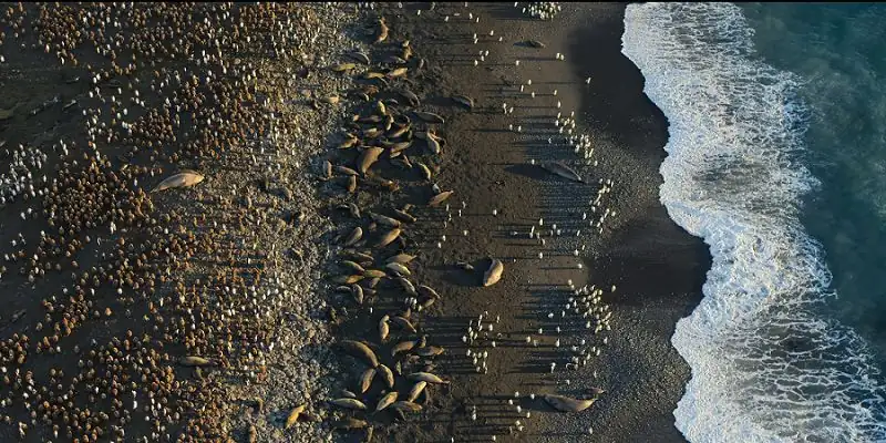 download our oceans (2024) season 1 netflix original - dual audio {hindi-english} web series 1080p & 720p web-dl download our oceans (2024) season 1 netflix original - dual audio {hindi-english} web series 1080p & 720p web-dl