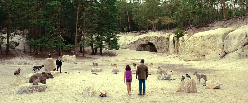 screenshot aad7e9 woodwalkers 2024