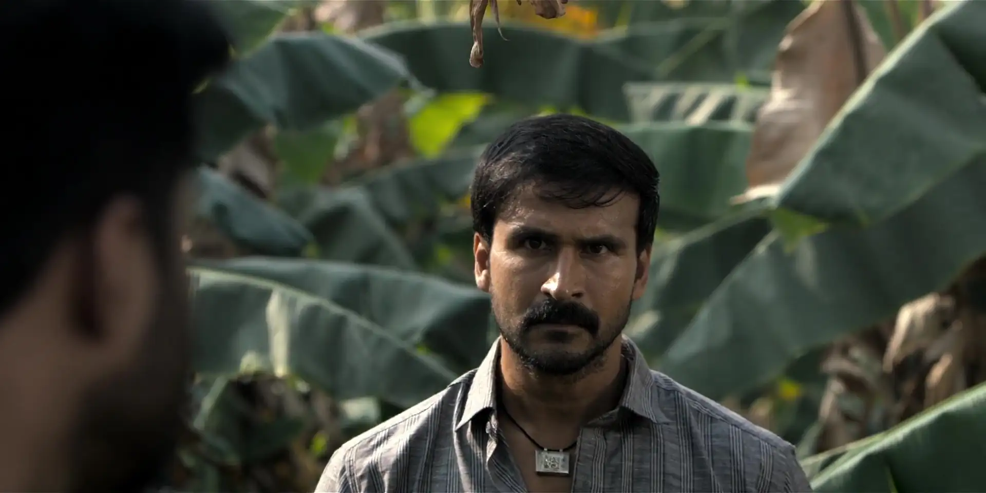 screenshot aaf1e8 kobali 2025