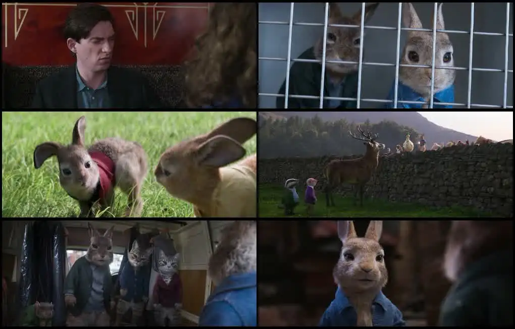 download peter rabbit 2: the runaway (2021) dual audio {hindi-english} bluray 480p [320mb] | 720p [1gb] | 1080p [2.5gb]