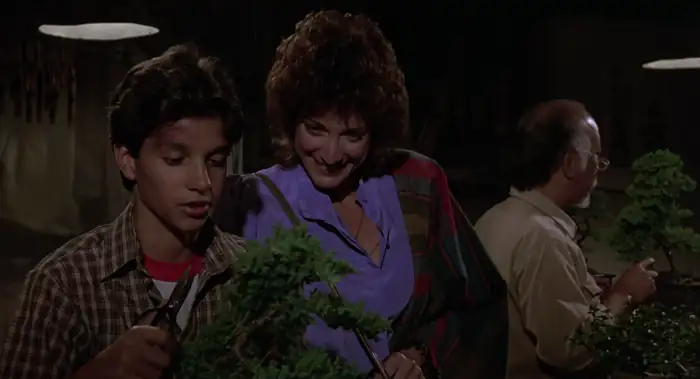 download the karate kid (1984) dual audio {hindi-english} 480p [400mb] | 720p [1gb] | 1080p [4gb]