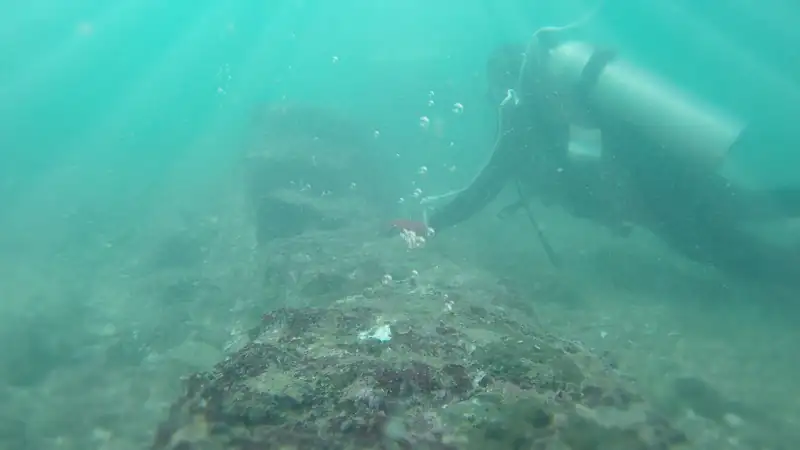 screenshot b1401a history hunter 2023