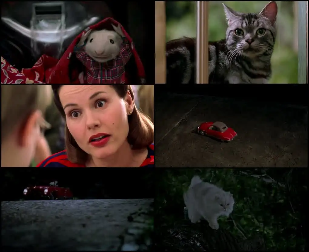 download stuart little (1999) dual audio {hindi-english} bluray 480p [300mb] | 720p [700mb] | 1080p [2.3gb]