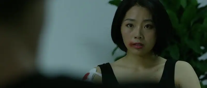 download vixen (2018) dual audio {hindi- chinese} web-dl 480p [300mb] | 720p [1.1gb] | 1080p [2gb]