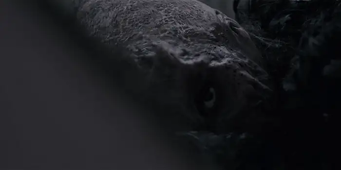 screenshot b5bc69 netflix ghost stories 2020