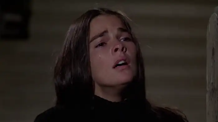 download love story (1970) dual audio {hindi-english} 480p [350mb] | 720p [870mb]