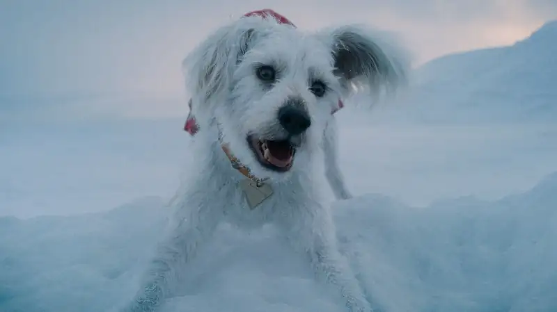 screenshot bcbdf8 superman 2025