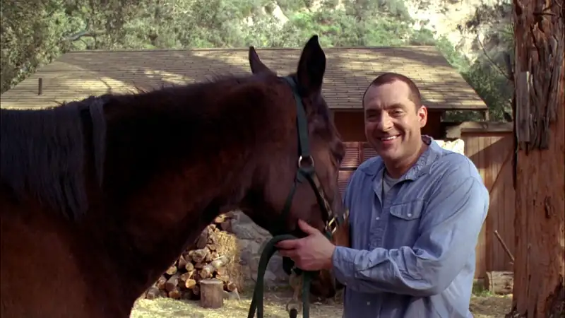 download ring around the rosie (2006) dual audio {hindi-english} bluray 480p [300mb] | 720p [800mb] | 1080p [1.8gb]