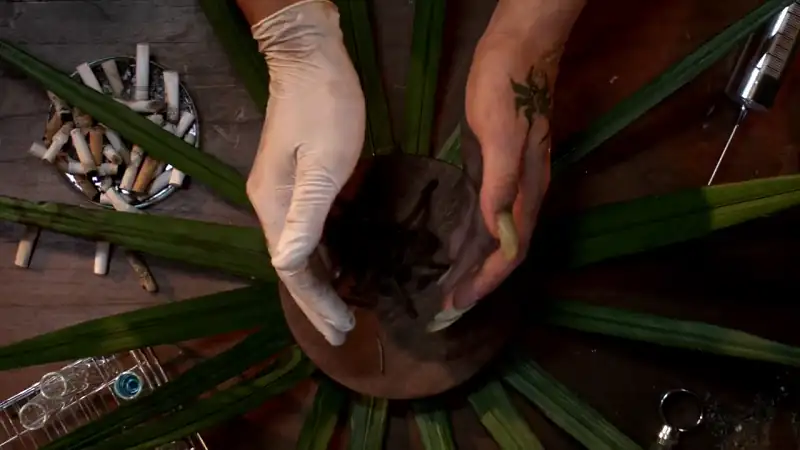 download in the spiders web (2007) dual audio {hindi-english} 480p [300mb] | 720p [900mb]