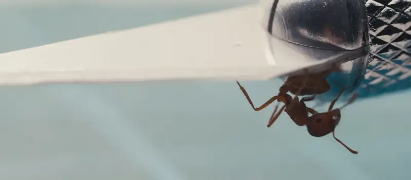 download masking threshold (2021) bluray {english with subtitles} full movie 480p [300mb] | 720p [750mb] | 1080p [2gb]