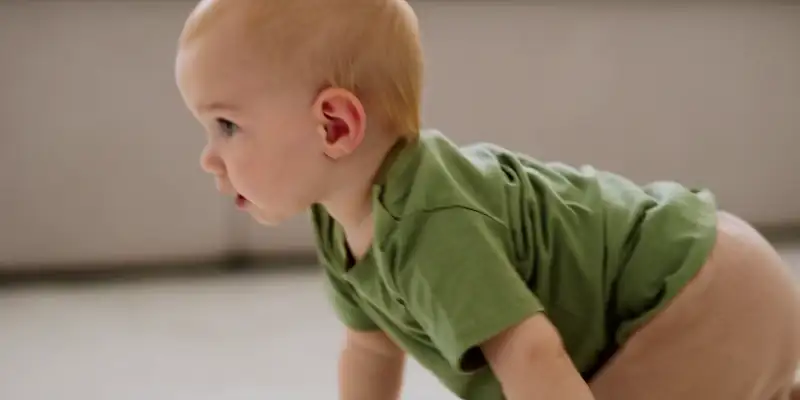 download cunk on life (2024) {english with subtitles} full movie web-dl 480p [220mb] | 720p [600mb] | 1080p [1.5gb]