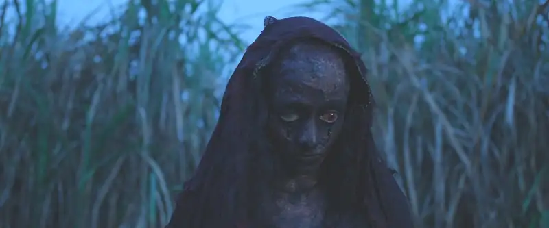 screenshot c34170 chhorii 2021