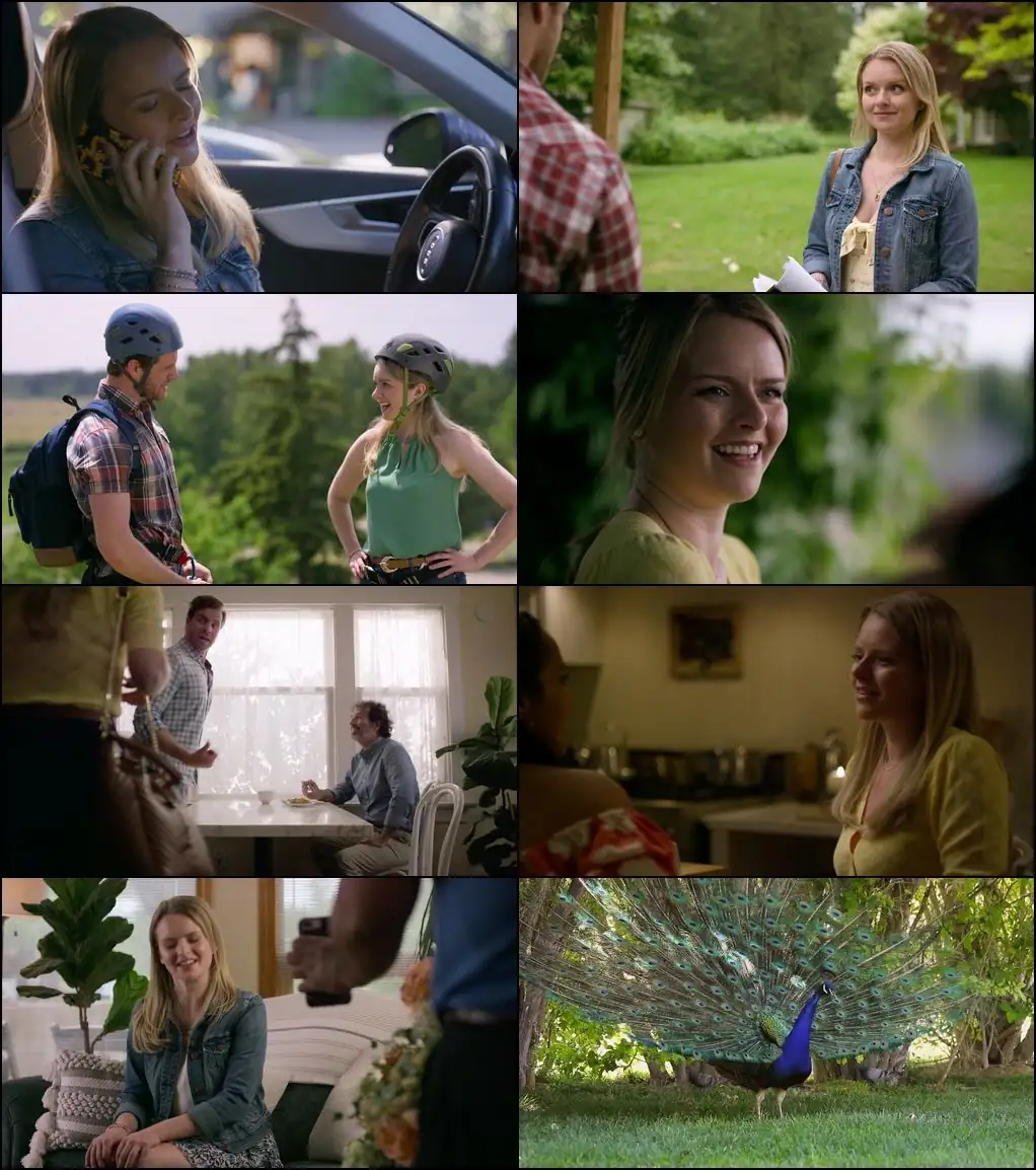 download the wedding fix (2022) web-dl dual audio {hindi-english} 480p [210mb] | 720p [880mb] | 1080p [1.4gb]