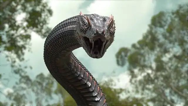 download nakee (season 1) hindi dubbed (org) complete full-web series 480p | 720p | 1080p web-dl