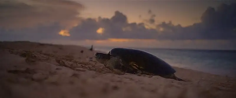 download our universe - netflix original (2022) season 1 dual audio {hindi-english} 480p | 720p web-dl