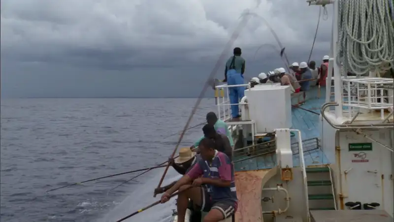 download south pacific (2023) season 1 complete dual audio {hindi-english} netflix original web series 720p | 1080p web-dl