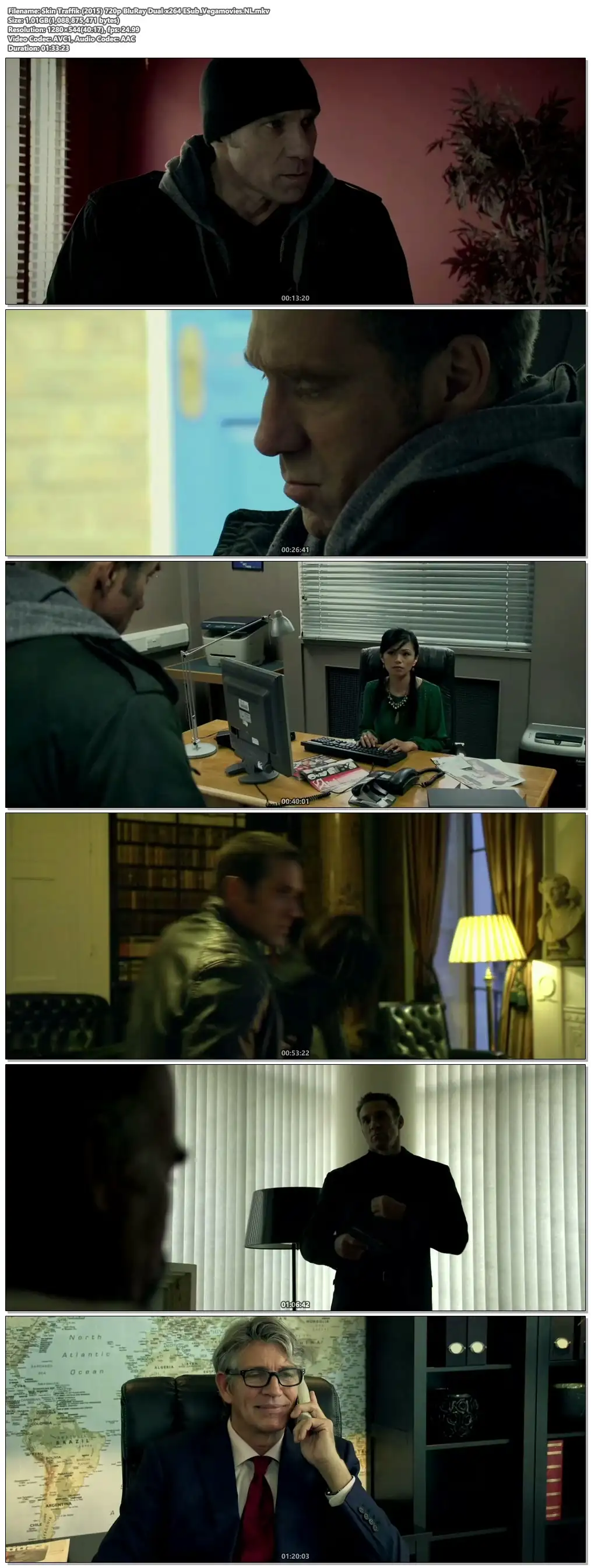 download skin traffik (2015) dual audio {hindi-english} 480p [300mb] | 720p [1gb]