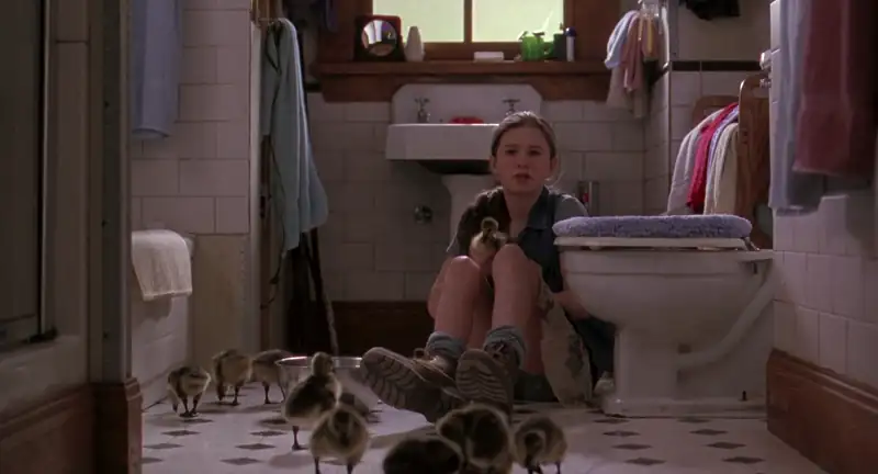 download fly away home (1996) bluray dual audio {hindi-english} 480p [400mb] | 720p [1gb] | 1080p [2.2gb]