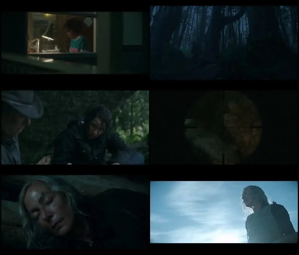 download lou - netflix original (2022) dual audio {hindi-english} 480p [400mb] | 720p [1gb] | 1080p [2gb]