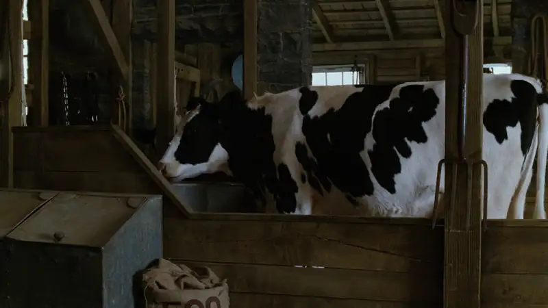 download charlotte's web (2016) dual audio {hindi-english} 480p [350mb] | 720p [950mb] | 1080p [2gb]