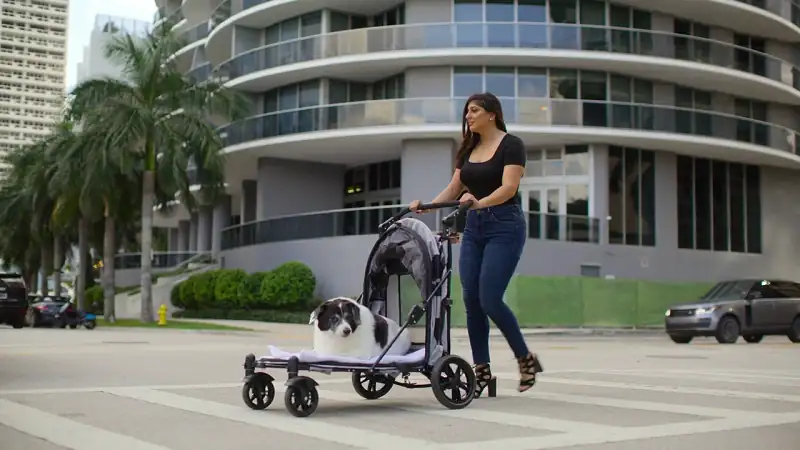 download indian matchmaking - netflix original  (2023) season 3 complete dual audio {hindi-english} 480p | 720p | 1080p web-dl