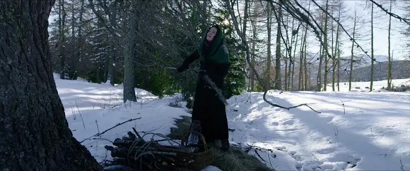 download a hidden life (2019) dual audio {hindi-english} 480p [500mb] | 720p [1.1gb] | 1080p [3gb]