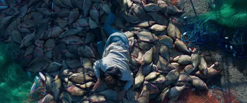 download the perfumier (2022) web-dl dual audio {hindi-english} 480p [300mb] | 720p [900mb] | 1080p [2gb]