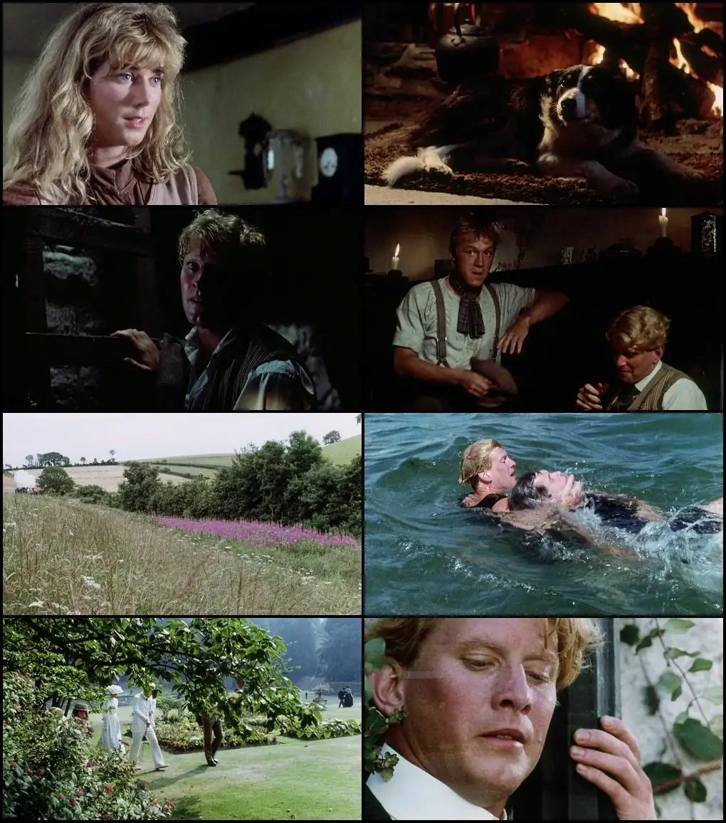 download a summer story (1988) bluray dual audio {hindi-english} 480p [350mb] | 720p [910mb] | 1080p [1.6gb]