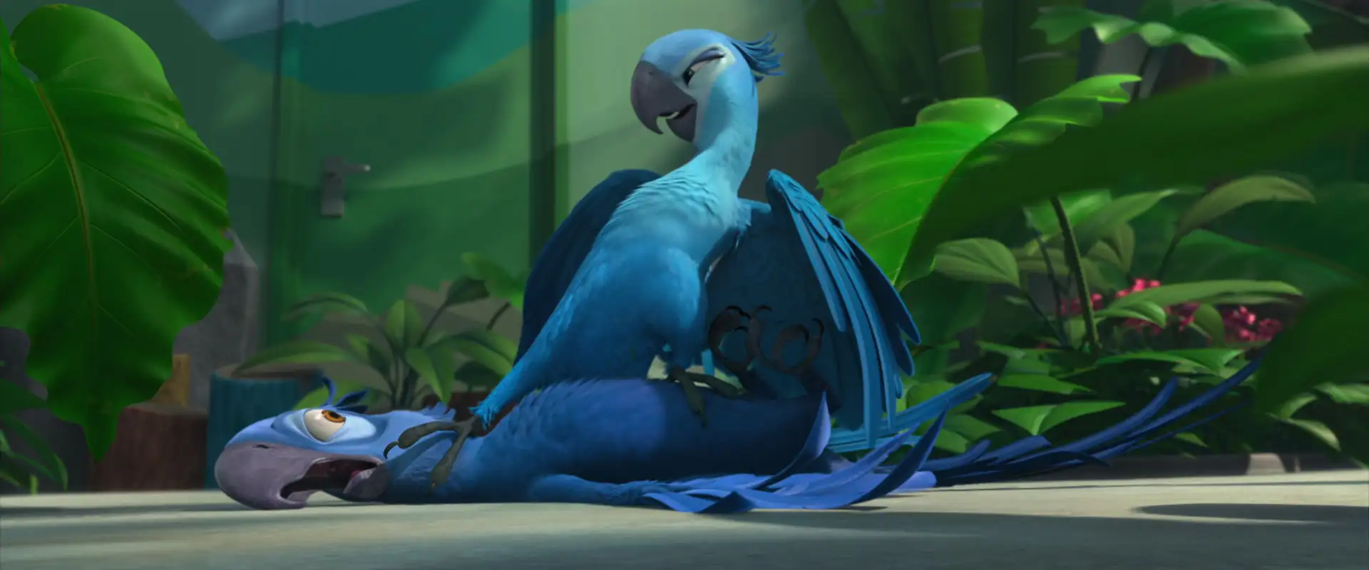 download rio (2011) dual audio {hindi-english} 480p [350mb] | 720p [1gb] | 1080p [2gb]