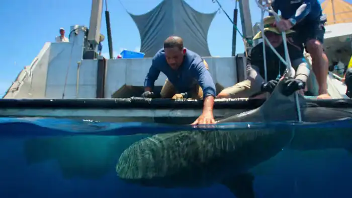 download welcome to earth (2021) season 1 {english with subtitles} 720p 10bit esubs [200mb] web-dl